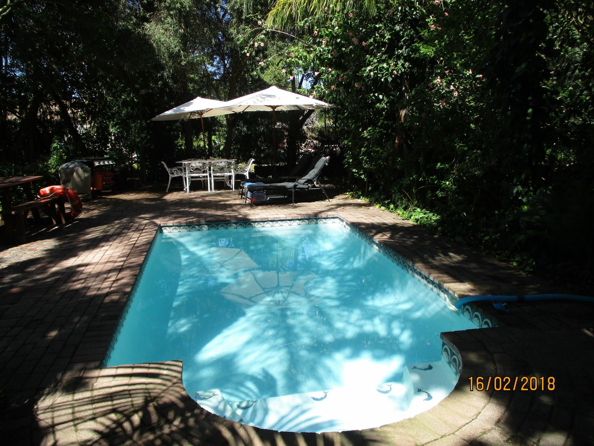 Knysna Herons Guest House Exterior foto
