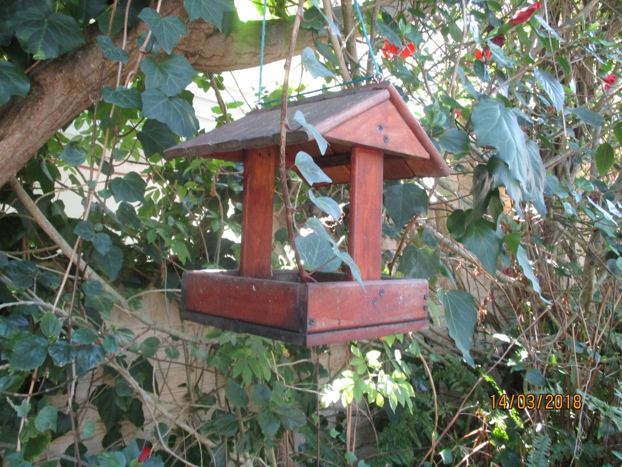 Knysna Herons Guest House Exterior foto